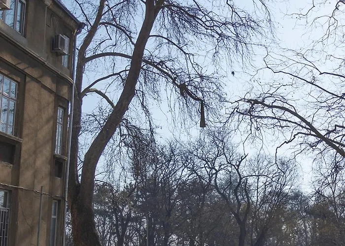 Daire Seastоry By Rv *